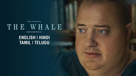 the whale rotten tomatoes|the whale full movie online free.